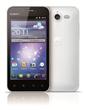 HUAWEI Honor Black-White